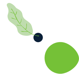 about-1-leaf.png